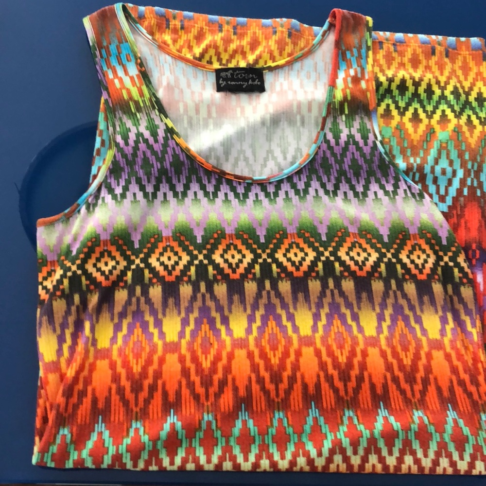 Torn by Ronny Kobo Norman’s tank dress XS